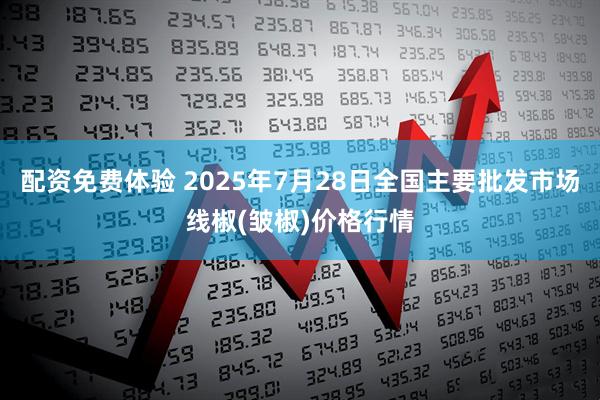 配资免费体验 2025年7月28日全国主要批发市场线椒(皱椒)价格行情